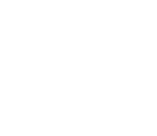 Elevation Advancements Logo